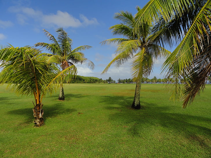 Guamas, dangus, debesys, delnai, palmės, žolės, kalnai