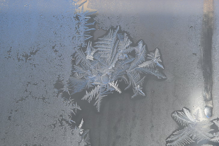 glace, neige, cristaux, fractales, fenêtre de, froide, Ze