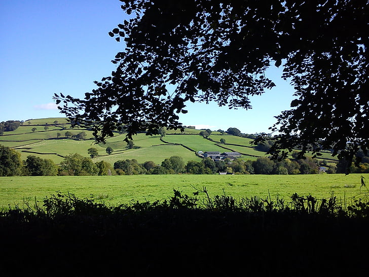 Devon, pedesaan, pedesaan, alam, Inggris, Lembah yarty, pertanian