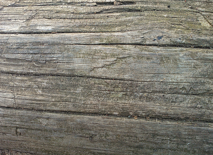 madeira, textura, de madeira, log de, casca, áspero, natural