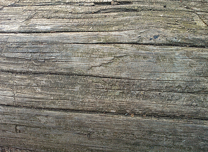 trä, konsistens, trä, Logga in, bark, grov, naturliga