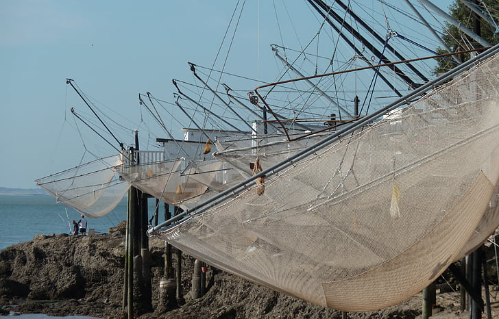 Câu cá, Plaice, lưới, Gironde