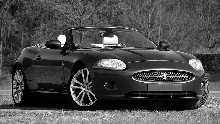 Jaguar xk, Auto, Geschwindigkeit, macht, Fahrzeug, Automobil, Auto