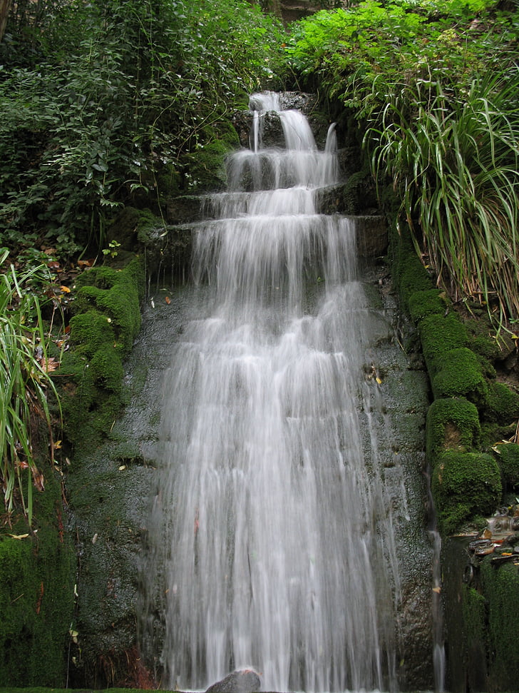 waterfall, water, river, green, vegetation, plants