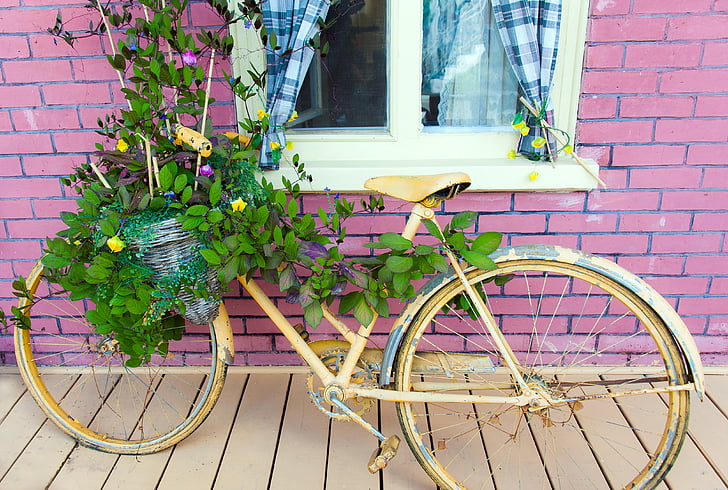 velosipēds, dekorēti, vecais, iestādīti, zaļa, ārpus telpām, dizains