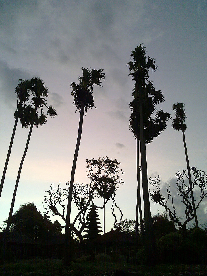 Palmové stromy, Bali, Saba beach, silueta, chrám