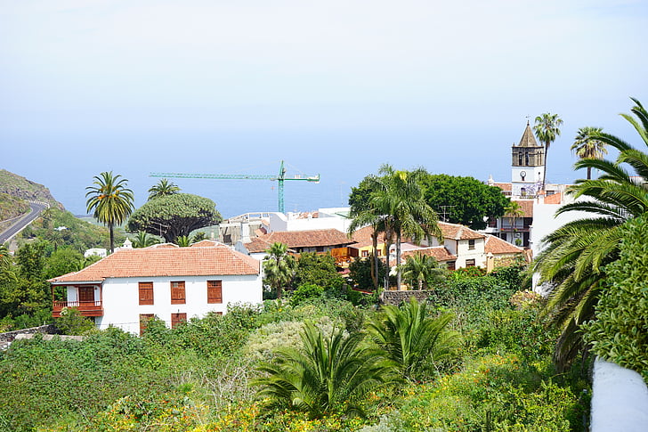 falu, Icod de los vinos, Tenerife, Bergdorf, Kanári-szigetek, el drago