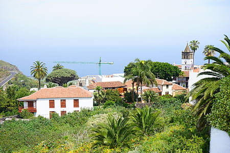 vila, Icod de los vinos, Tenerife, Bergdorf, Ilhas Canárias, El drago