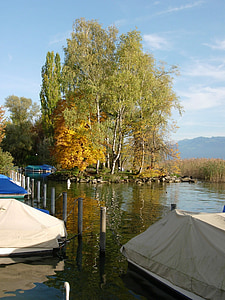 gradu: Rapperswil, Švicarska, luka, jezero, Lake zurich, Gornja jezera, jesen