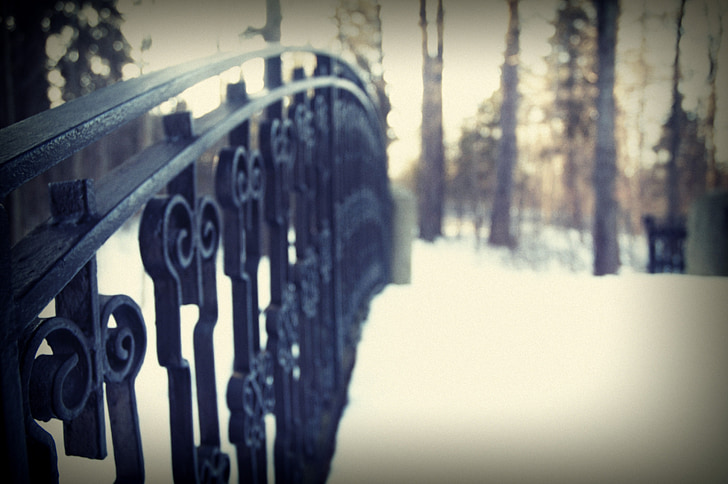 winter, nature, snow, cold, landscape, trees, outdoors