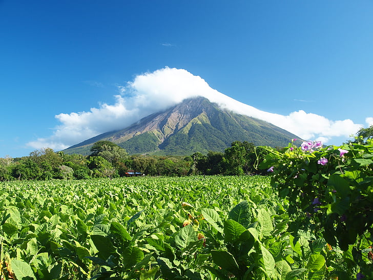 volcano, nicaragua, concepcion, ometepe, tobacco, mountain, agriculture