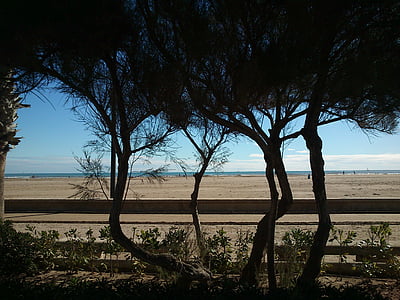havet, stranden, vegetation, Sand, Sky, Medelhavet, landskap