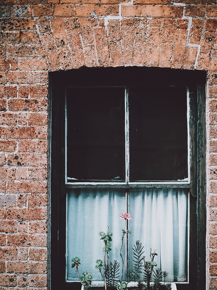 finestra, vidre, cortina, flor, plantes, maons, rajola