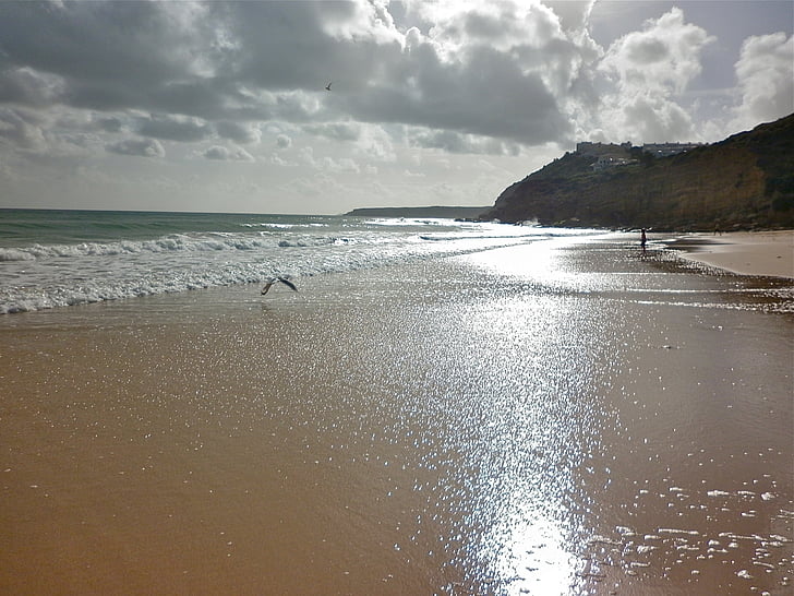 mar, Playa, arena