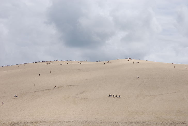 dűne, homok, Franciaország, Dune du pilat, természet, sivatag, állat