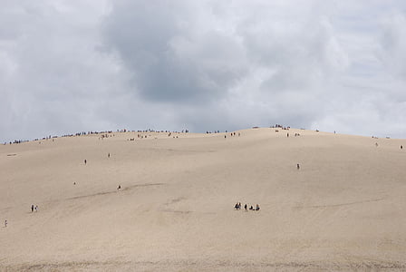 Dune, sorra, França, Dune du pilat, natura, desert de, animal