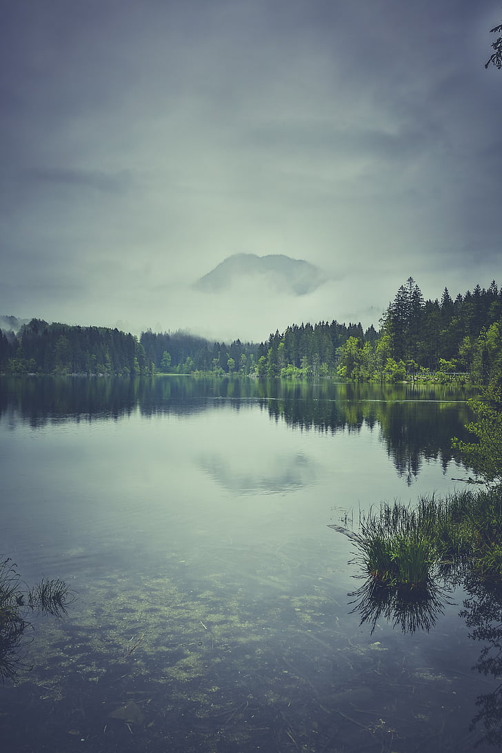 fog, lake, landscape, mountain, nature, trees, reflection