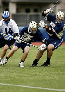 lacrosse, players, trio, stick, sport, game, action