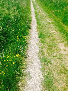 away, meadow, field, grass, nature, outdoors, road