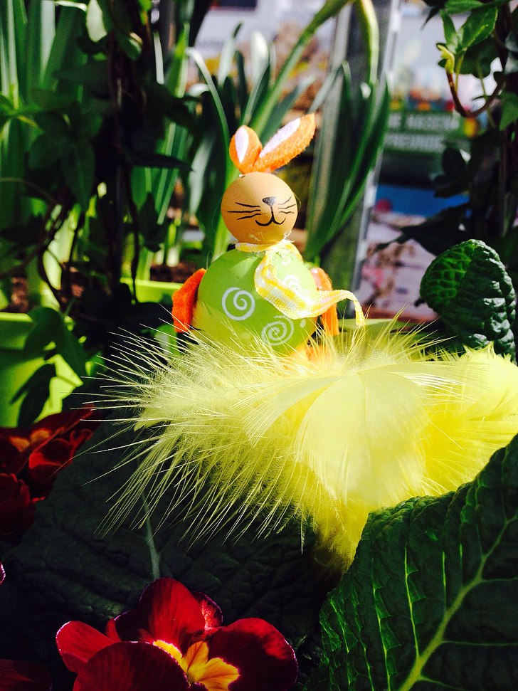 Llebre, Setmana Santa, conill de Pasqua, primavera, flors