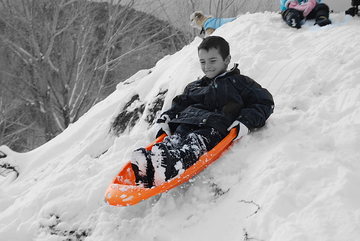 Sled, tuyết, mùa đông, xe trượt tuyết, kỳ nghỉ, vui vẻ, lạnh