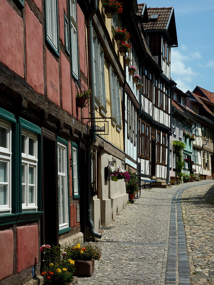 Quedlinburg, resina, l'estiu, carcassa, arquitectura, ciutat, edifici
