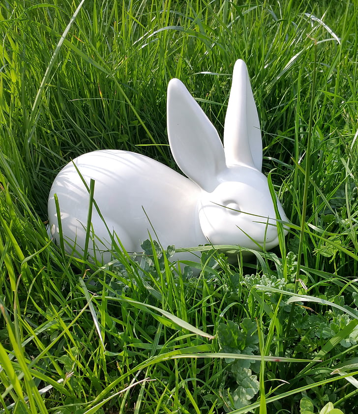 påske, Hare, kanin, våren, dyr