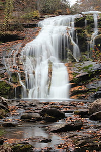 waterfall, bald river falls, nature, fall, autumn, stream, forest