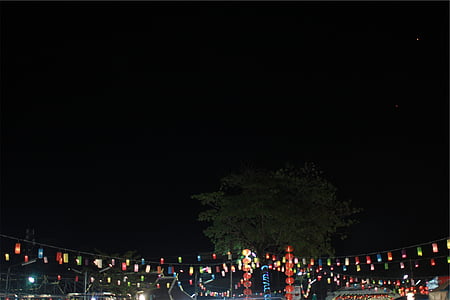photo, multicolored, hanging, decor, string lights, lanterns, dark