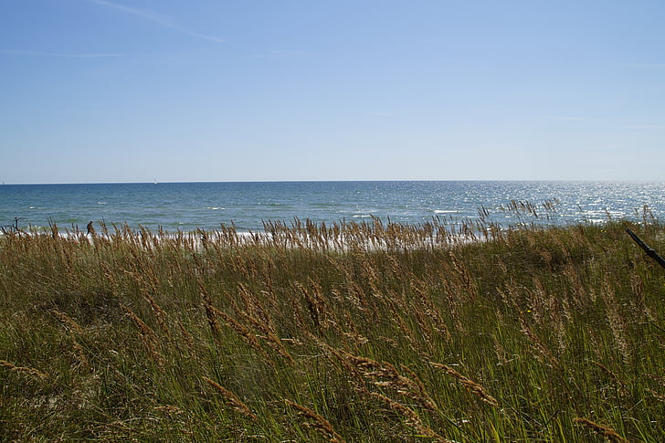 Dune, sipina krajine, trave, morje, Ocean, Baltskega morja, jezero