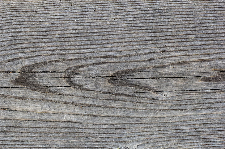 tree, board, gray, old pine tree, plank, background, rough