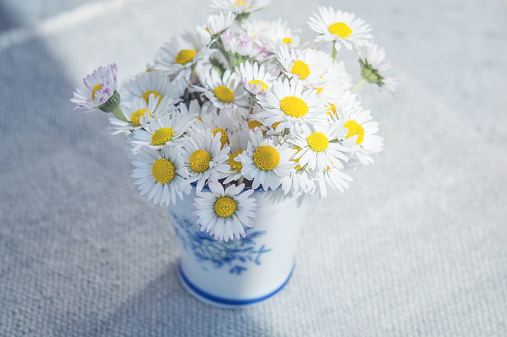 kwiaty, Daisy, biały, Polne kwiaty, Wazon, bukiet, stół