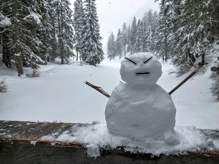 λευκό, χιονάνθρωπος, κοντά σε:, καφέ, δέντρα, χιόνι, καιρικές συνθήκες