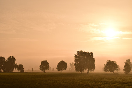 ranní mlha, mlha, krajina, Příroda, východ slunce, mysthisch, stromy