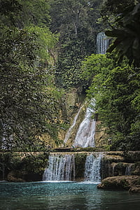 Fluss, Wasserfall, Wald