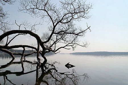 езеро, пейзаж, вода, дърво, натурална вода, Отразявайки, езерото