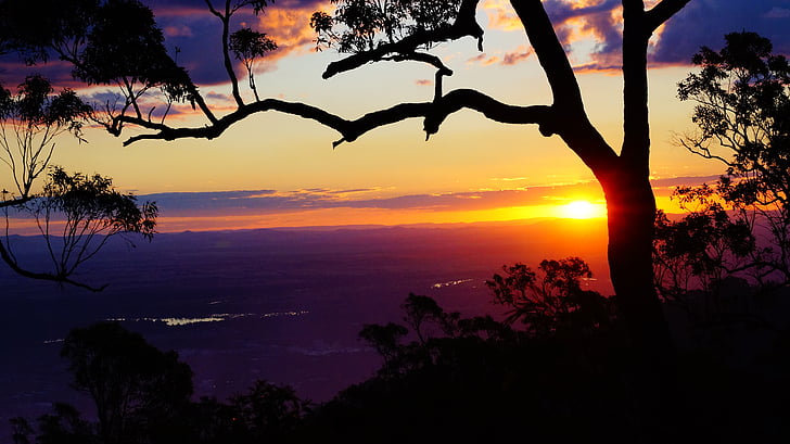 Rockhampton, solnedgång, lila, gul, siluett, Australien, Queensland