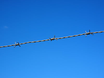 barbed wire, wire, fenced, metal, fence, security, thorn
