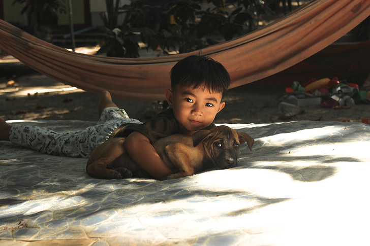 criança, cão, Tailândia