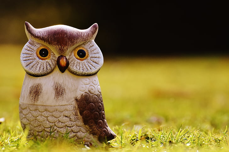 owl, bird, funny, meadow, ceramic, animal, cute
