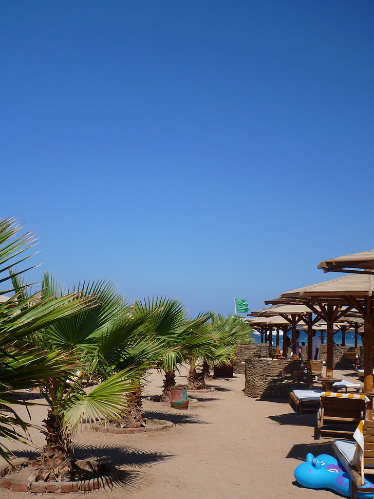 árboles de Palma, el resort, azul, árbol de Palma, Playa, vacaciones, destinos de viaje