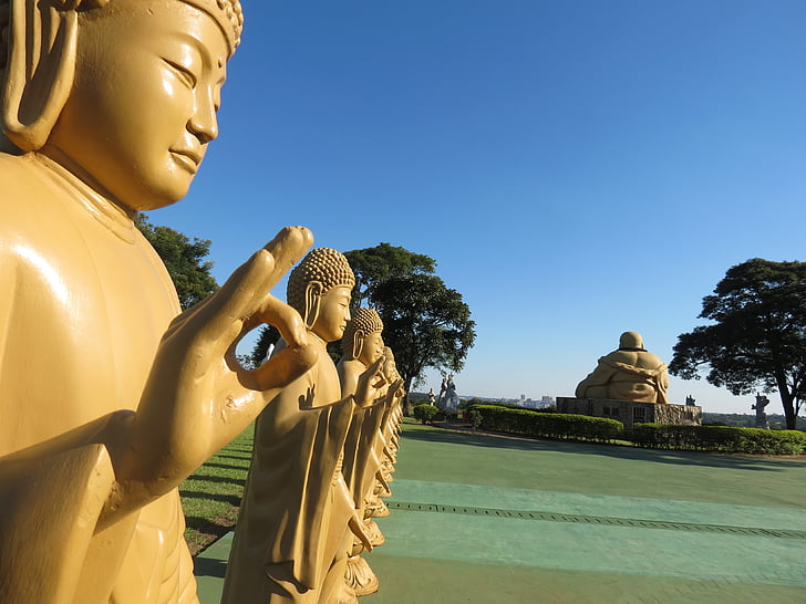 Budismo, estátuas, Templo de, ioga, oração, rezar, orações