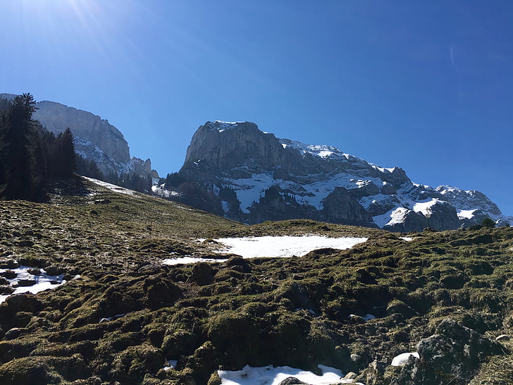 Alpina, Suíça, montanhas, Alp, natureza, paisagem, Alpes suíços