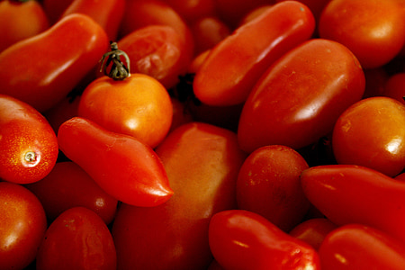 tomate, vermelho, laranja, vegetal, orgânicos, natureza, salada