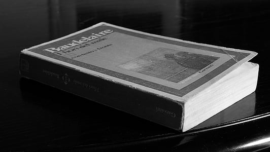 knjiga, bijelo crno, književnost