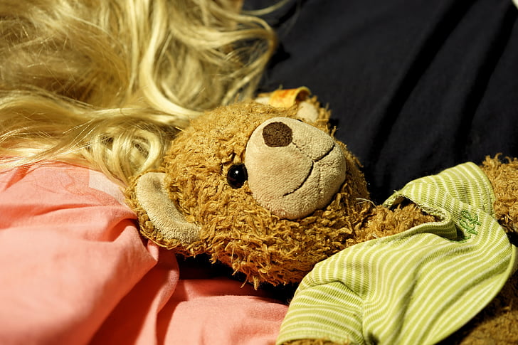 Teddy, beruang, mewah, boneka beruang, menyenangkan, beruang cokelat, mainan
