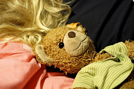 Тедді, ведмідь, плюшеві, плюшевий ведмедик, весело, ведмідь бурий, іграшки