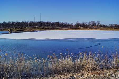 lago congelado, Lago, Parque, Baltimore, Parque de Druid hill, patos