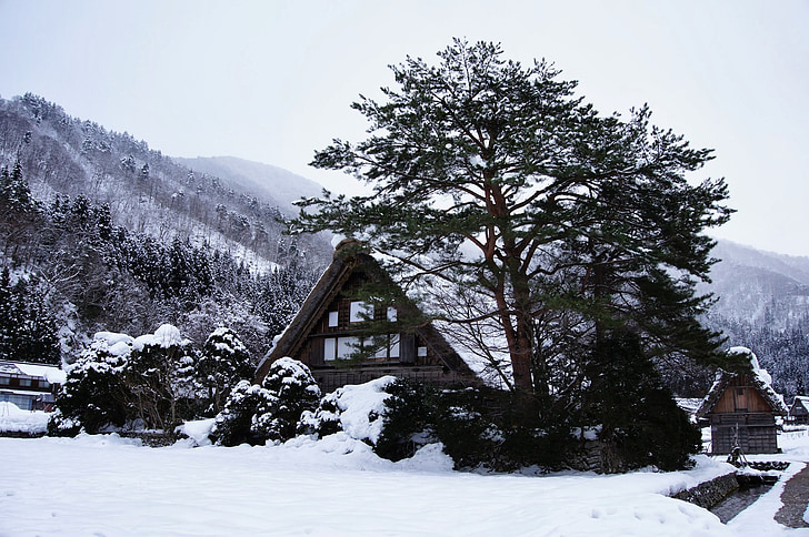 Gassho village, snö, Japan, vinter, Mountain, hus