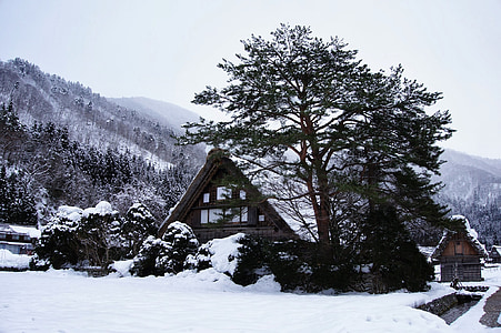 Gassho kaimas, sniego, Japonija, žiemą, kalnų, namas